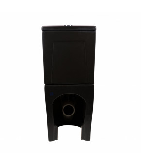 Унитаз-компакт Qtap Scorpio безободковый с сиденьем Soft-close QT14222125ARMB