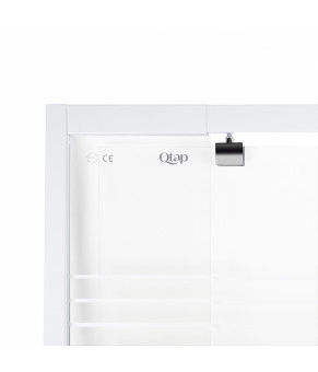 Душевая дверь в нишу Qtap Pisces WHI208-9.CP5