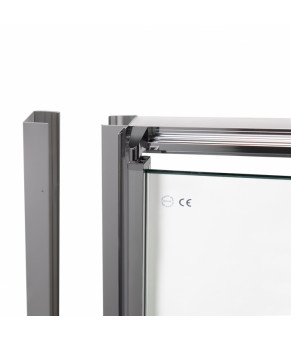 Душевая дверь в нишу Qtap Gemini CRM209.C6
