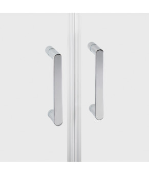 Душевая дверь в нишу Qtap Gemini CRM209.C6