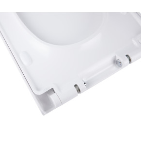 Сиденье для унитаза Qtap Tern Slim с микролифтом (QT99HY2238W)