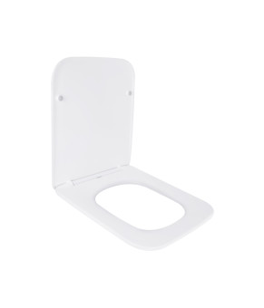 Сиденье для унитаза Qtap Tern Slim с микролифтом (QT99HXU10W)